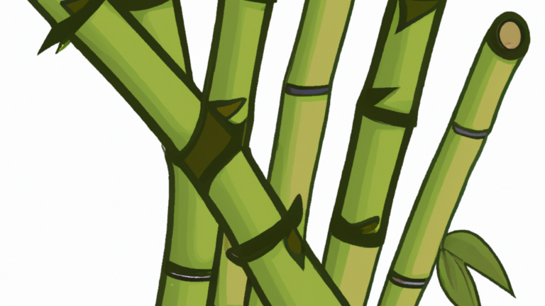 Tips til at få det bedste ud af dine bambusstrømper